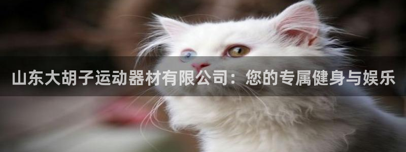 fb体育平台注册流程视频：山东大胡子运动器材有限公司：您的专