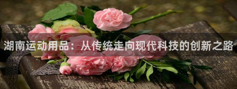 fb体育官方客服电话：湖南运动用品：从传统走向现代科