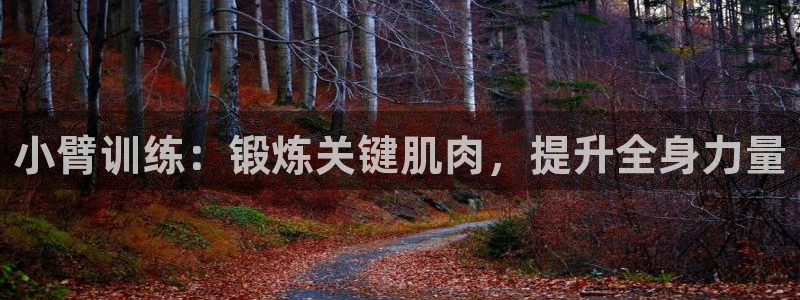 fb体育招商电话号码查询是多少：小臂训练：锻炼关键肌