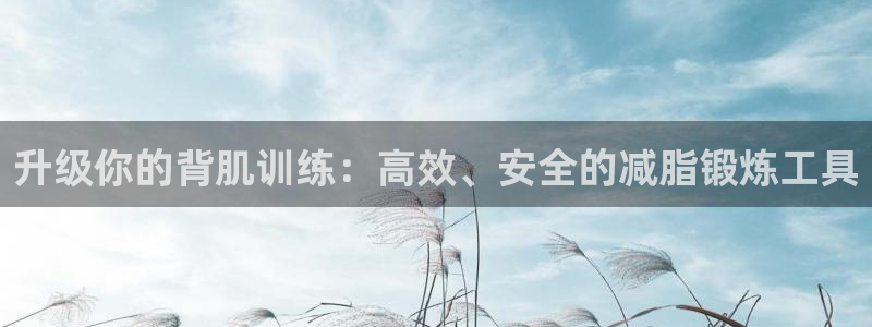 fb体育神州