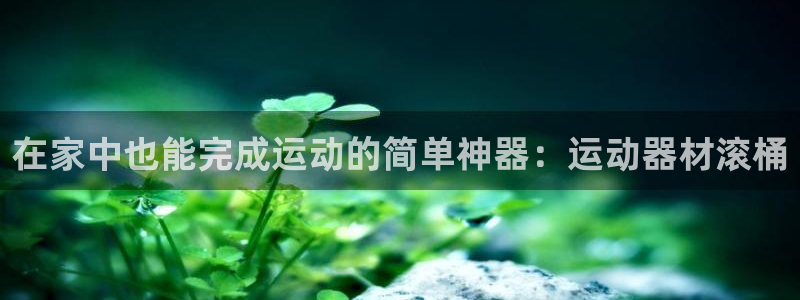 fb体育娱乐下载：在家中也能完成运动的简单神器：运动器材滚桶