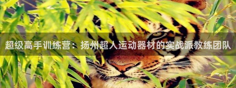 fb体育集团官网首页：超级高手训练营：扬州超人运动器材的实战