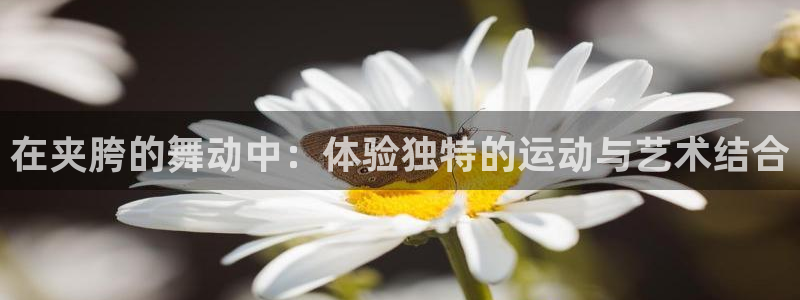 fb体育平台假的吗是真的吗吗：在夹胯的舞动中：体验独特的运动