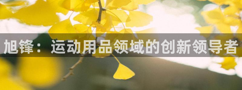 fb体育娱乐首页官网下载：旭锋：运动用品领域的创新领