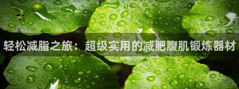 fb体育平台注册要钱吗：轻松减脂之旅：超级实用的减肥