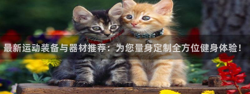 fb体育平台：最新运动装备与器材推荐：为您量身定制全