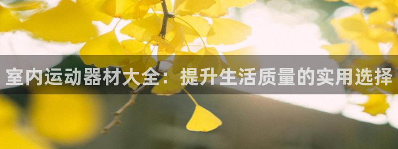 fb体育娱乐：室内运动器材大全：提升生活质量的实用选